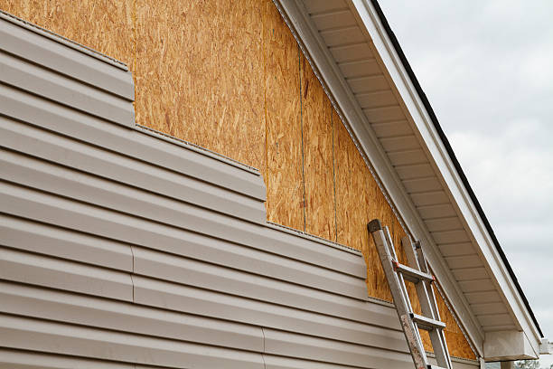 Professional Siding technician working in Port Richey, FL
